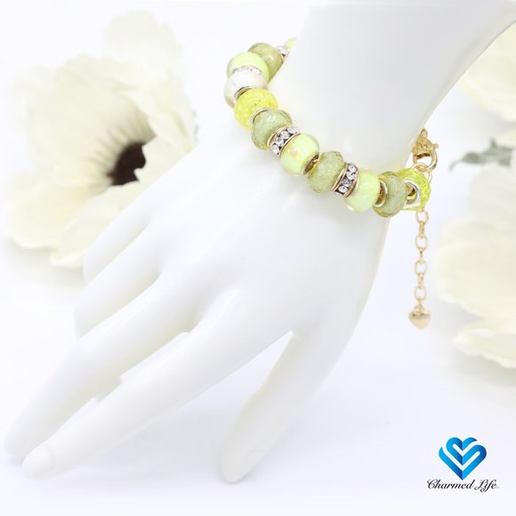 European Charm Bracelet - Her Envy (0787) - Picture 2 of 3